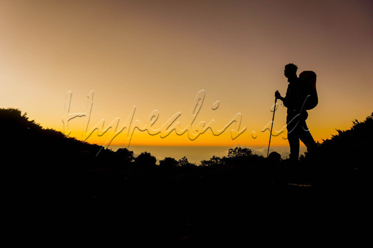 MENGGAPAI PUNCAK GUNUNG GEDE