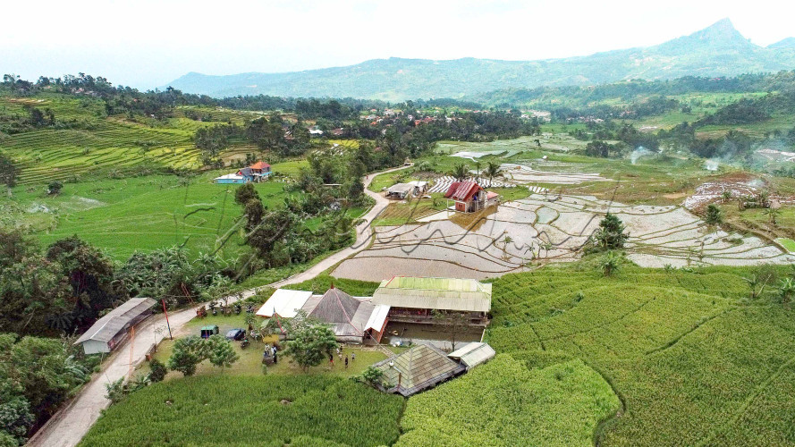 MANJAKAN MATA DI SAUNG BAHAGIA